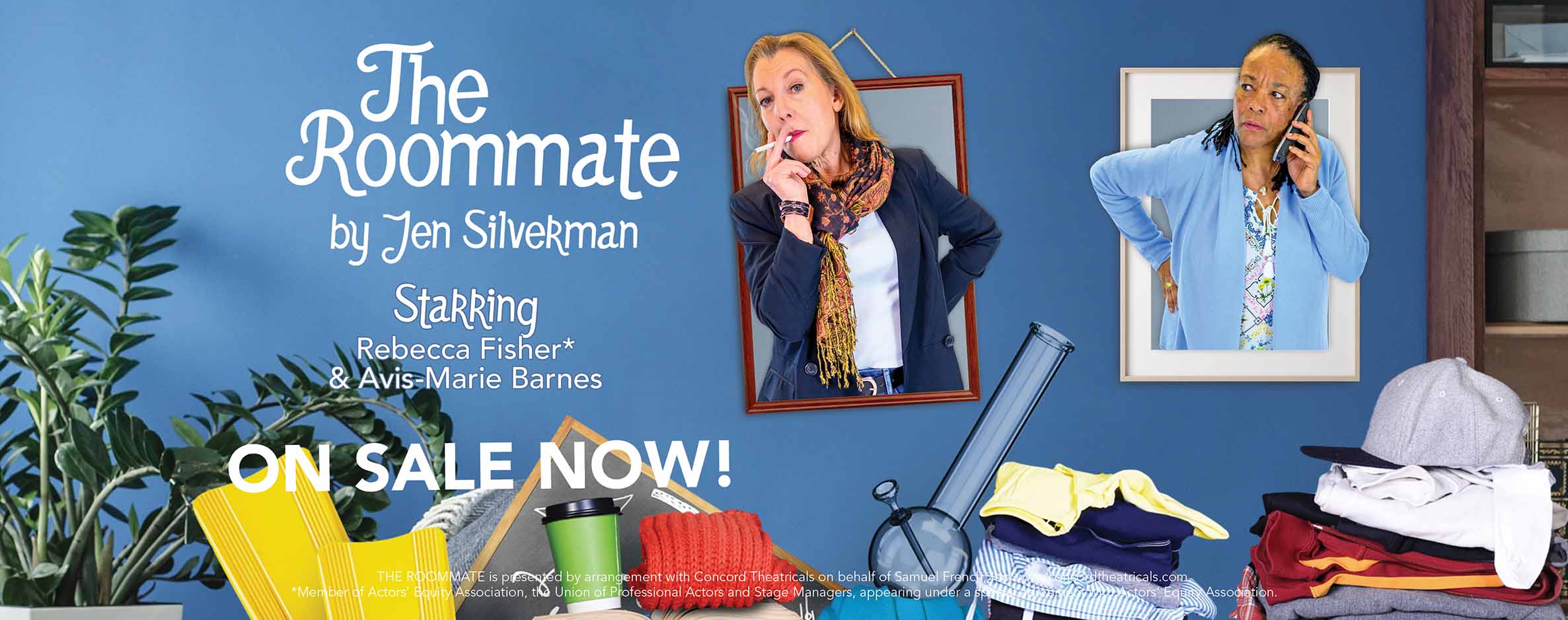 The Roommate by Jen Silverman: On Sale Now!