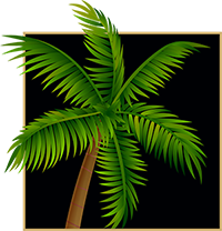 palm tree graphic